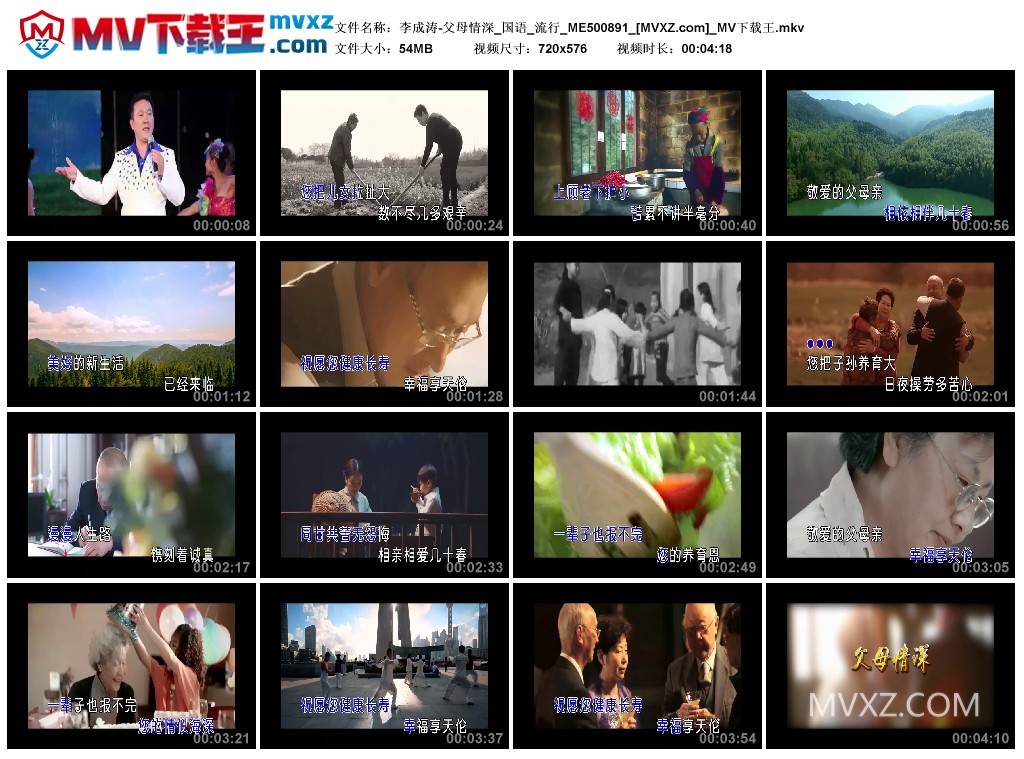 李成涛-父母情深_国语_流行_ME500891